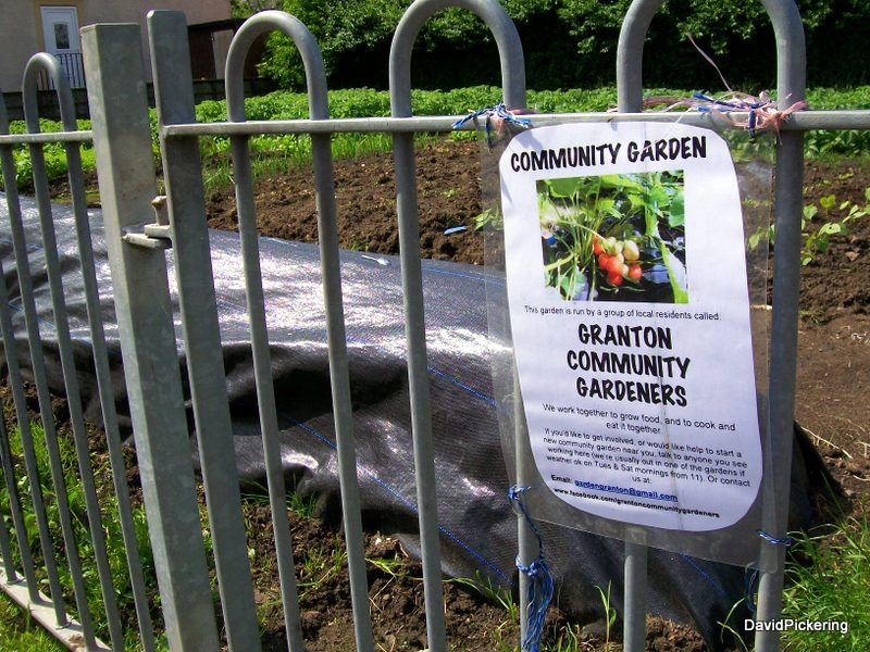 Community gardeners
