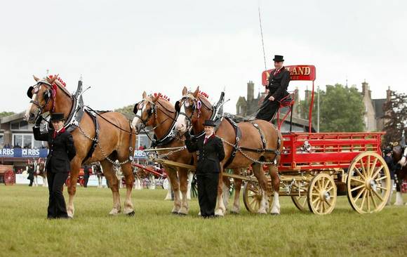 Join the Scotland Office team at the Royal Highland Show
