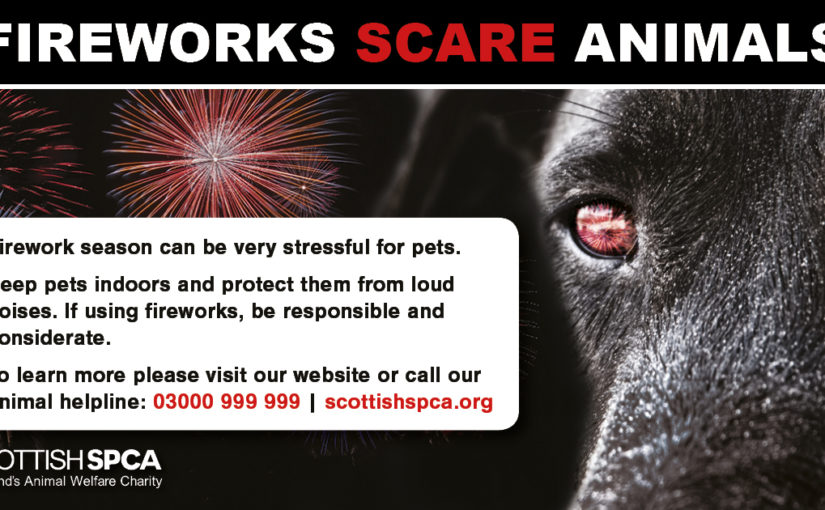 Scottish SPCA issue annual fireworks warning ahead of bonfire season