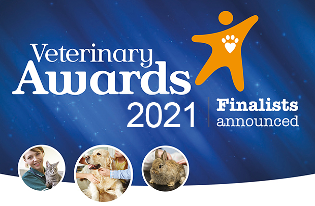 Edinburgh vet nurse named as a finalist in the 2021 Petplan Veterinary ...