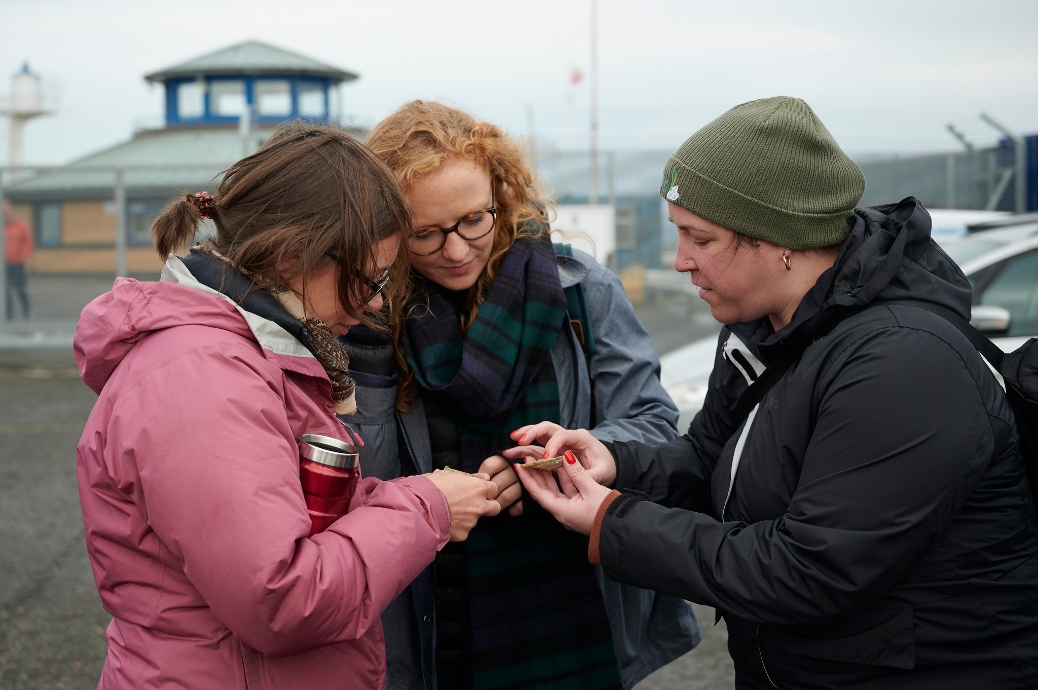 Become an Oyster Volunteer – The NEN – North Edinburgh News