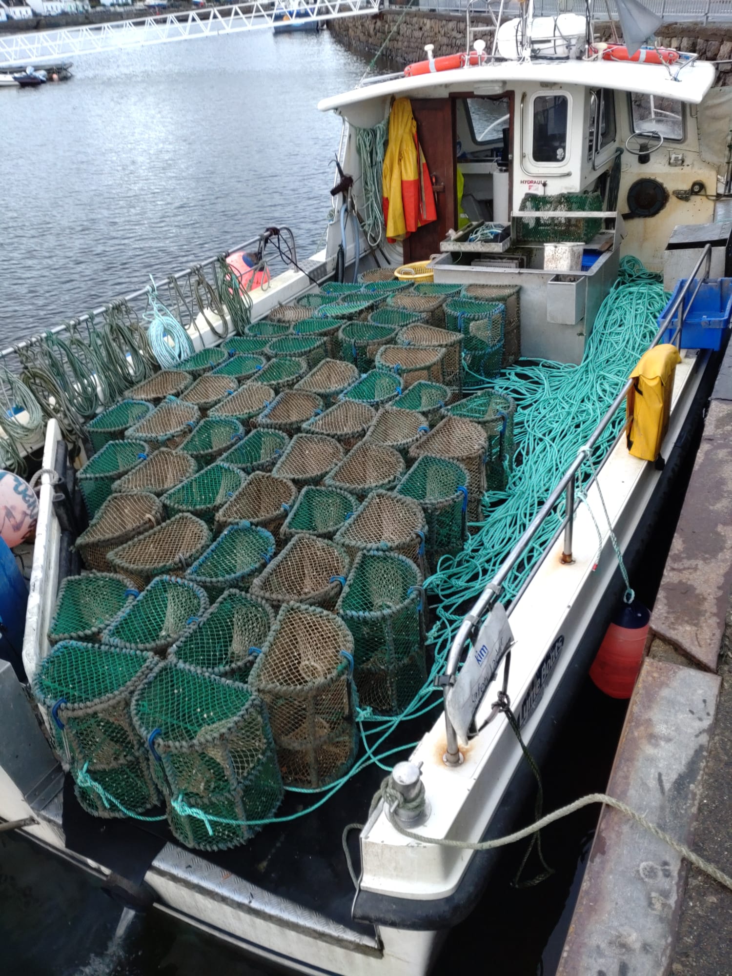 Scottish fishers successfully trial innovative fishing gear to prevent ...